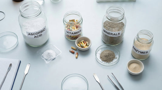 Compatibility of Ascorbic Acid with Vitamins, Minerals, and Enzymes in Modern Manufacturing Applications
